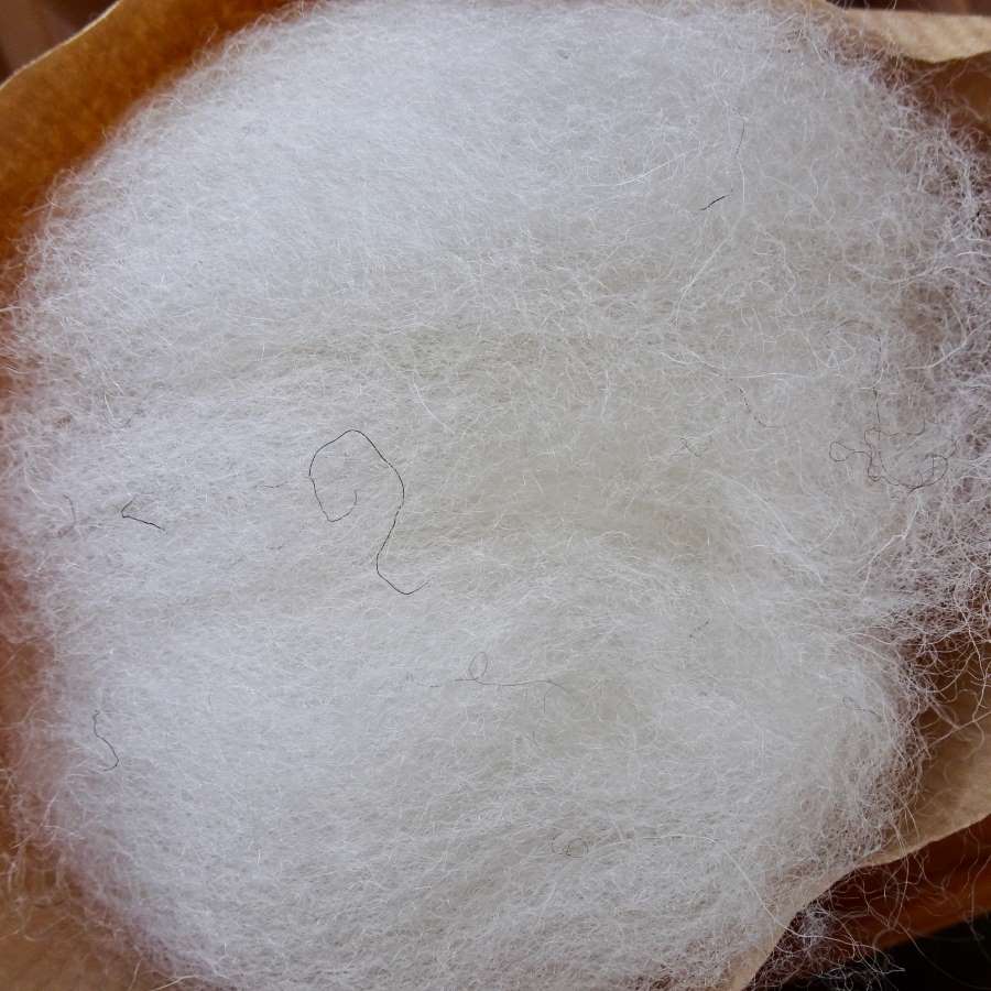 Naturally White, Scoured & Carded Fleece (100g)