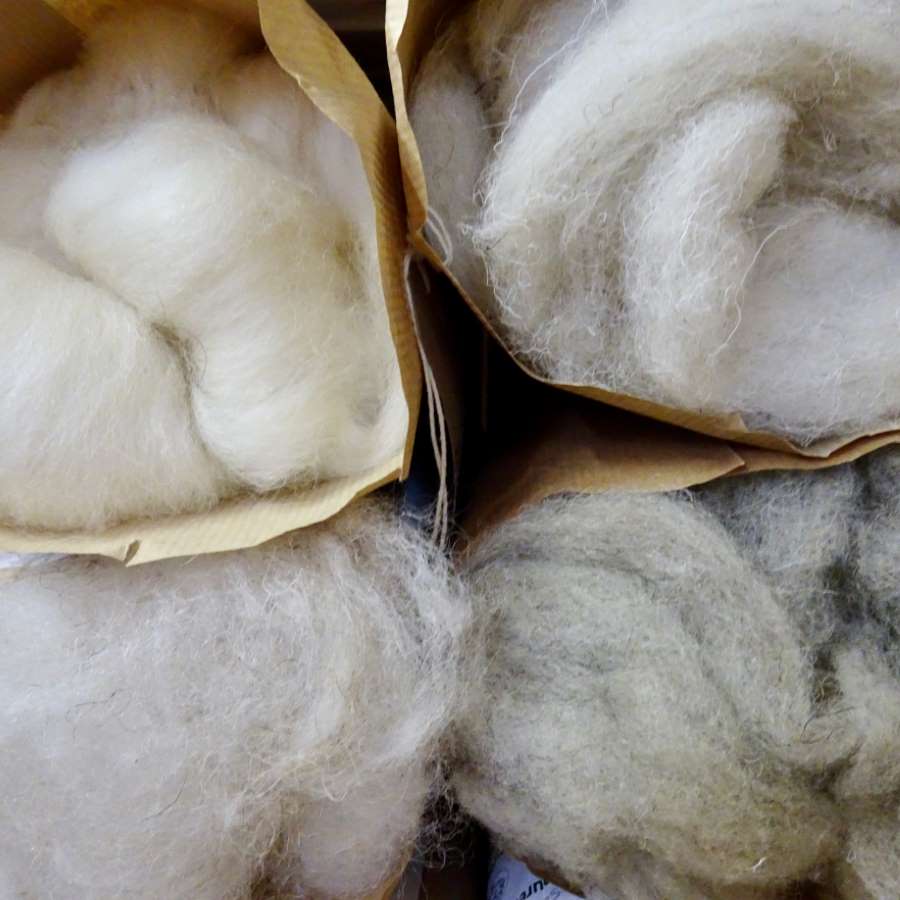 Naturally White, Scoured & Carded Fleece (100g)